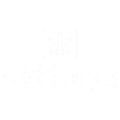 cattleyalg